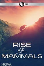 Rise of the Mammals